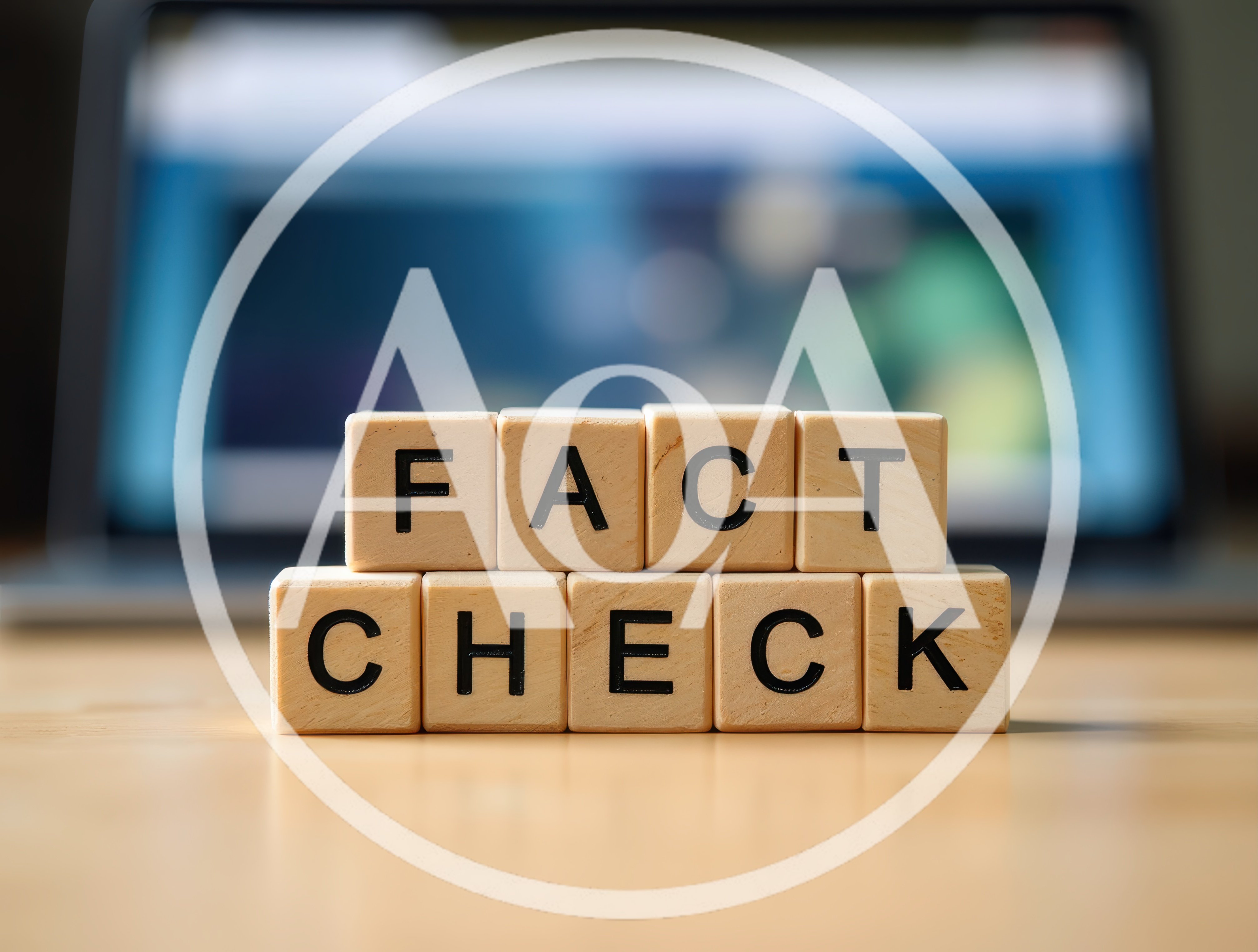 Wooden Blocks Spelling Fact Check on Desk