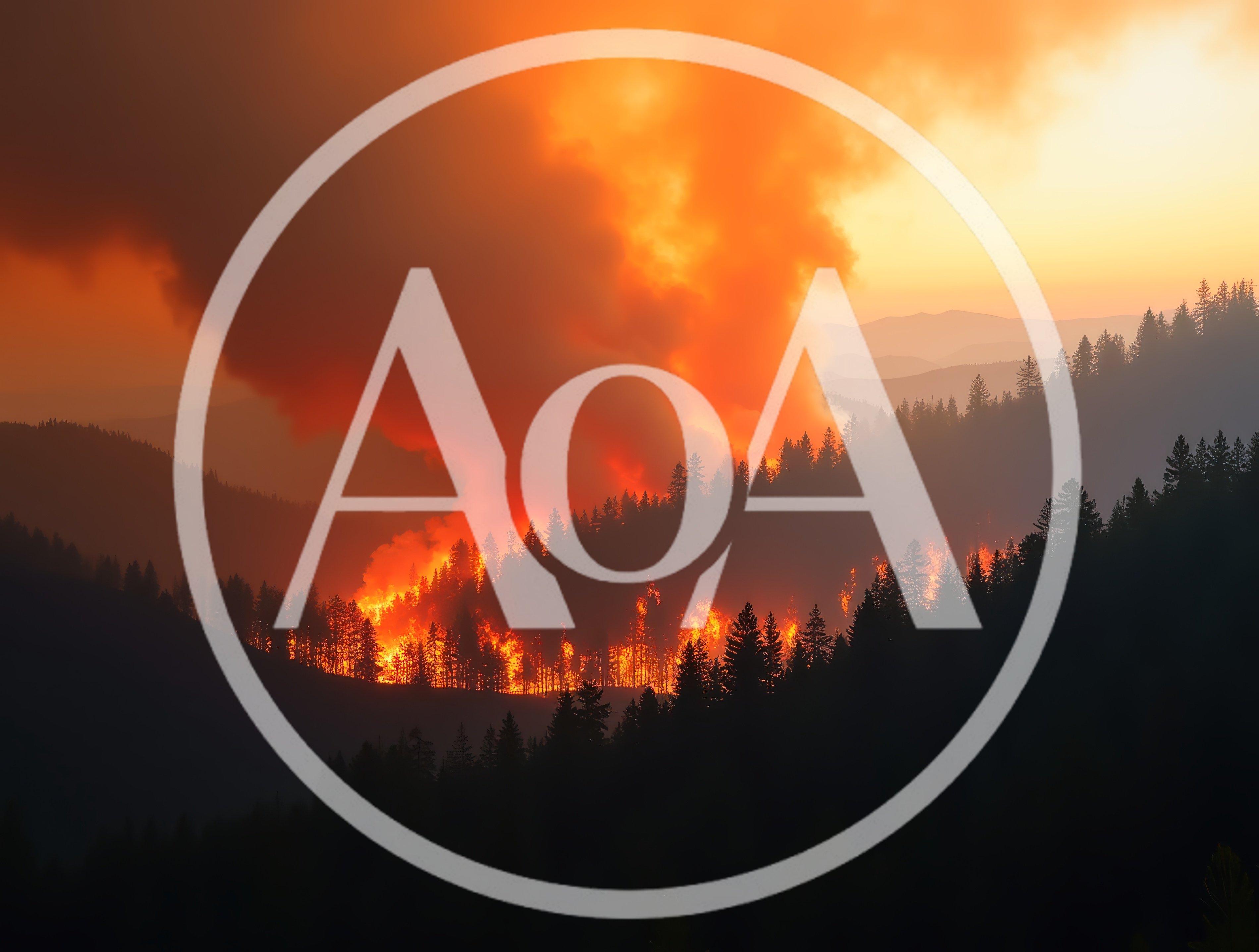 Forest Fire Burning Through Mountainous Pine Woodland