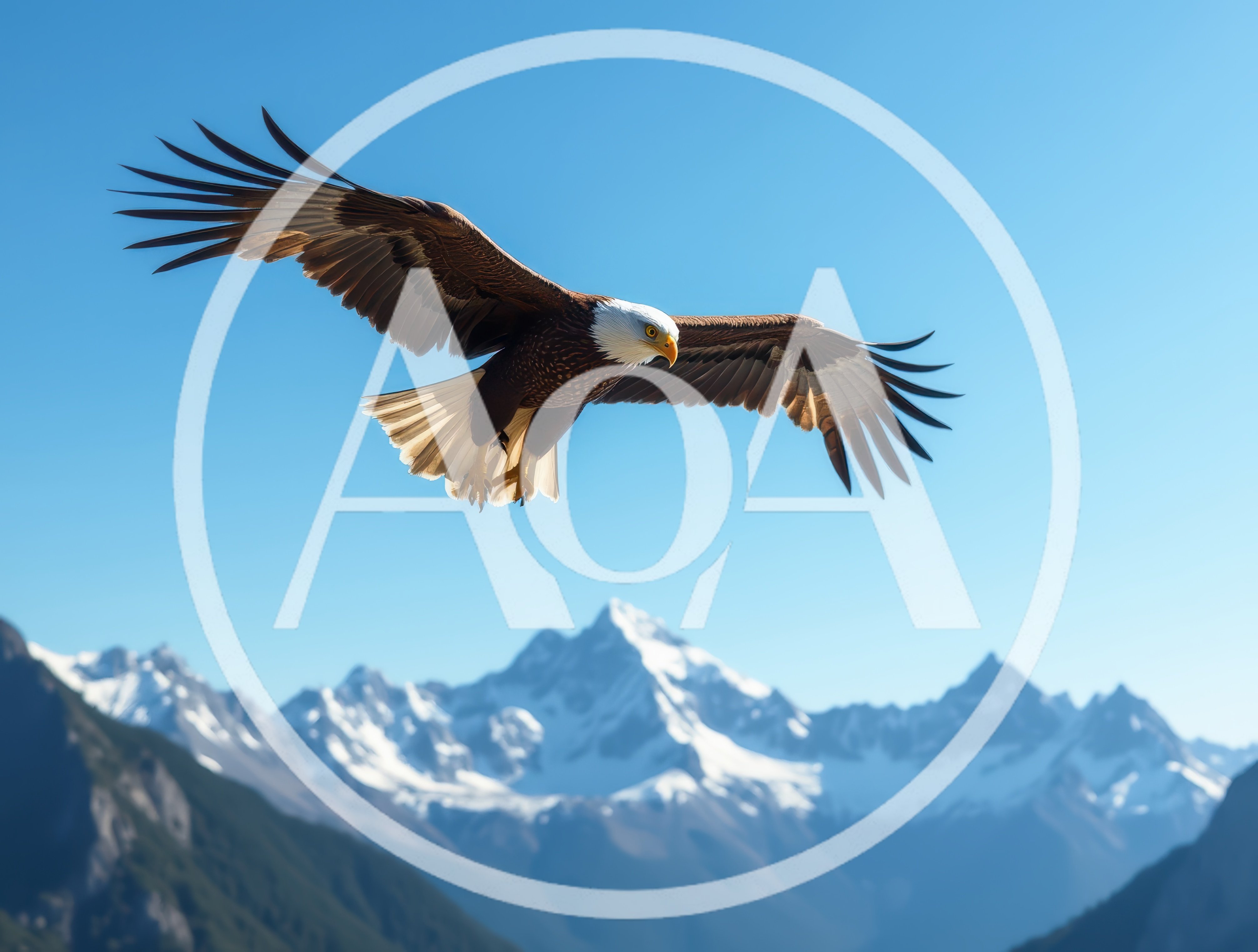 Bald Eagle Flying Over Snowy Mountain Range