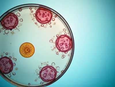 Microscopic View Of Bacterial Colonies In A Petri Dish