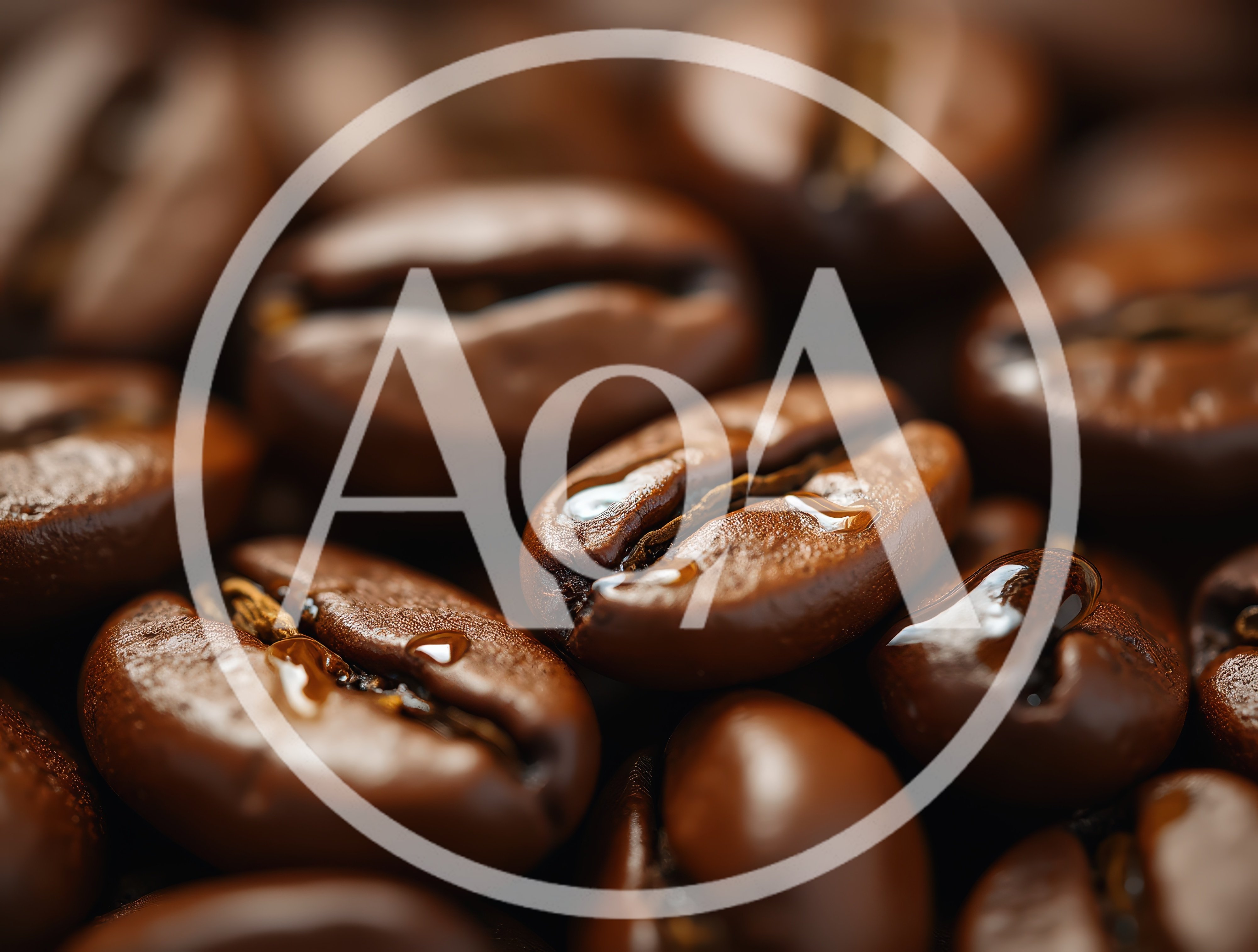 Macro Close Up Of Roasted Coffee Beans