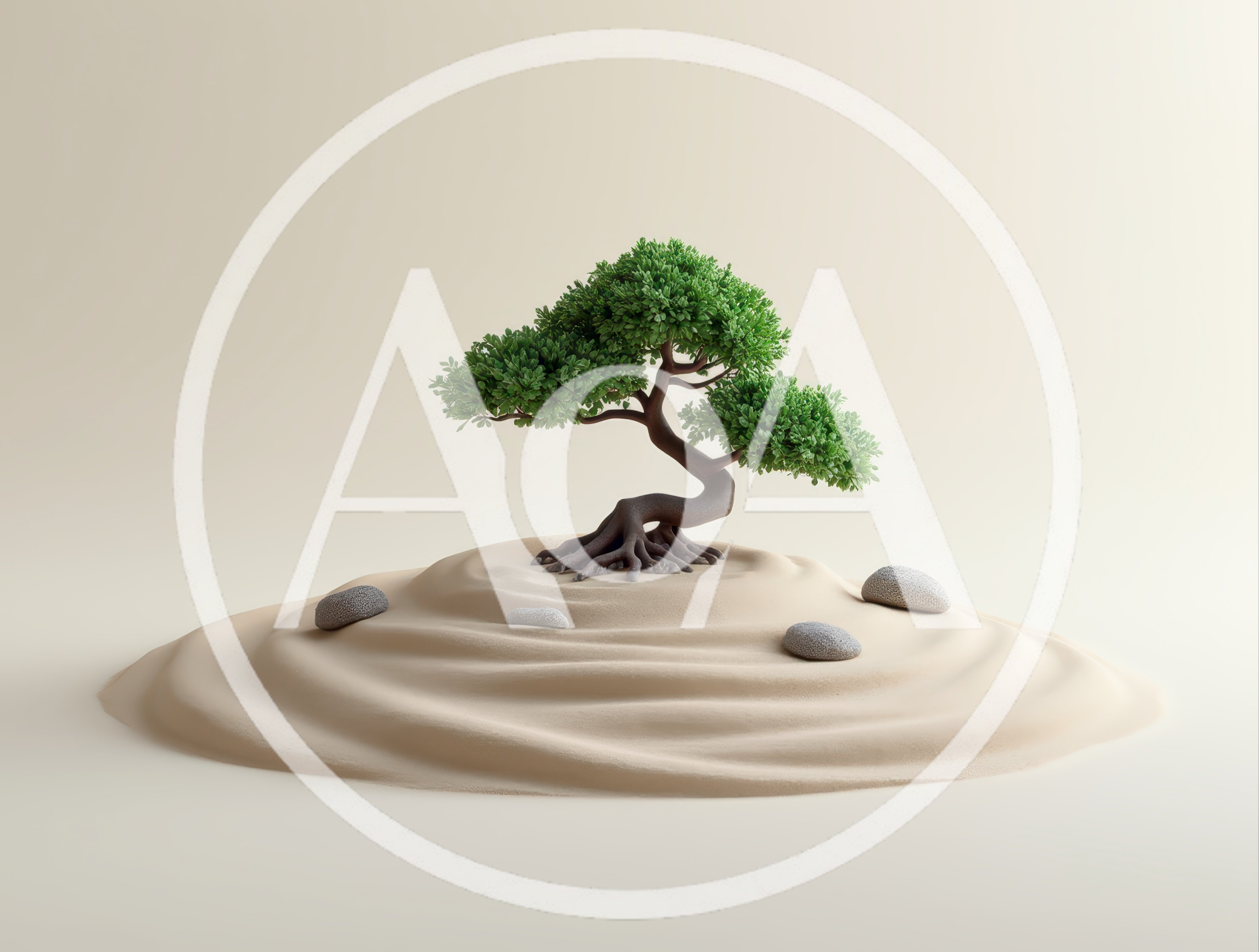 Bonsai Tree In A Zen Sand Garden