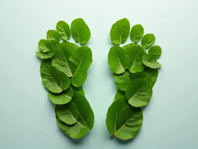 Two Footprints Made From Green Leaves