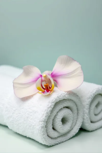 White Orchid Flower Resting On Rolled Spa Towels