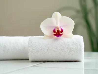 White Orchid Flower Resting On Rolled Spa Towels