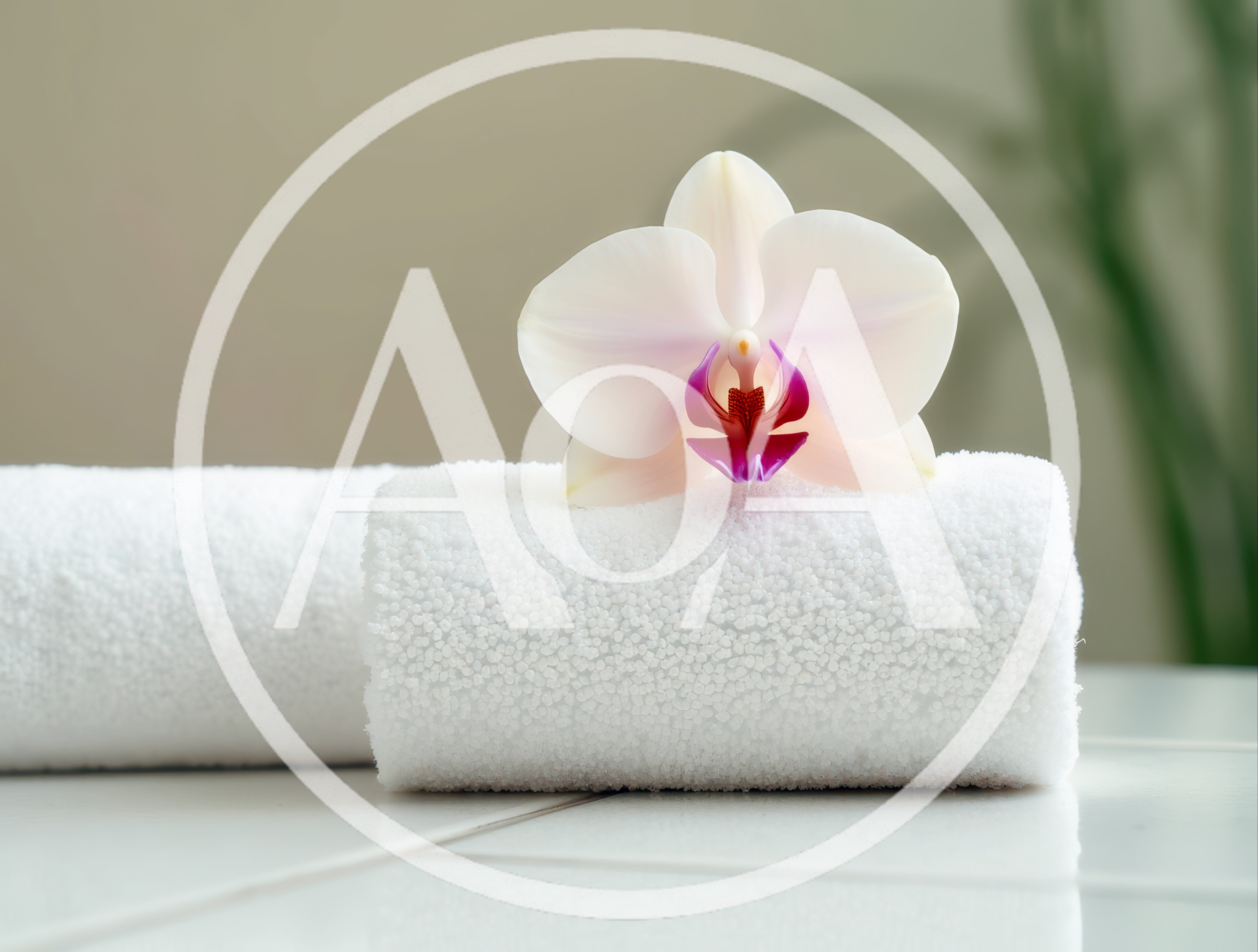 White Orchid Flower Resting On Rolled Spa Towels