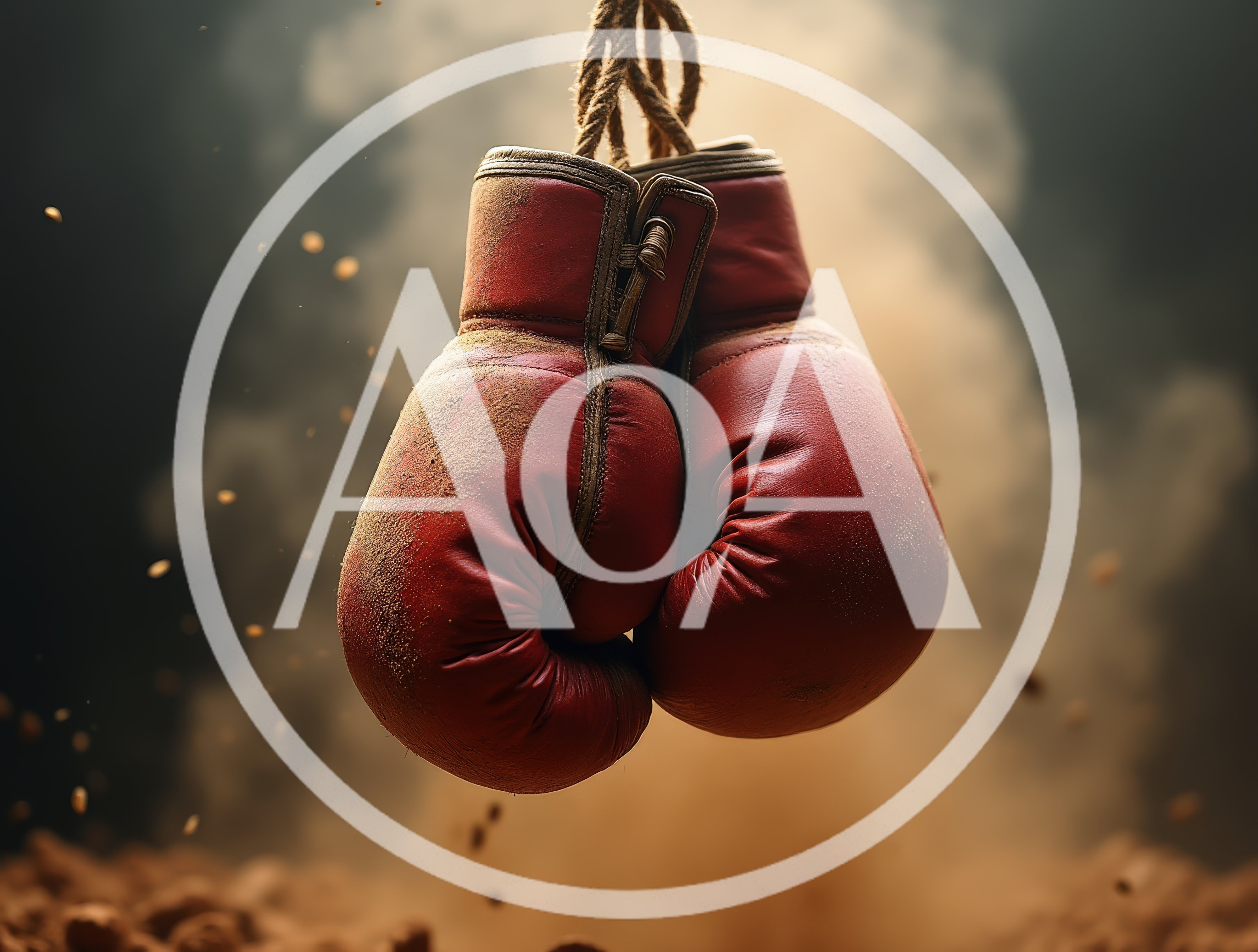 Pair Of Worn Red Boxing Gloves Hanging In Dust