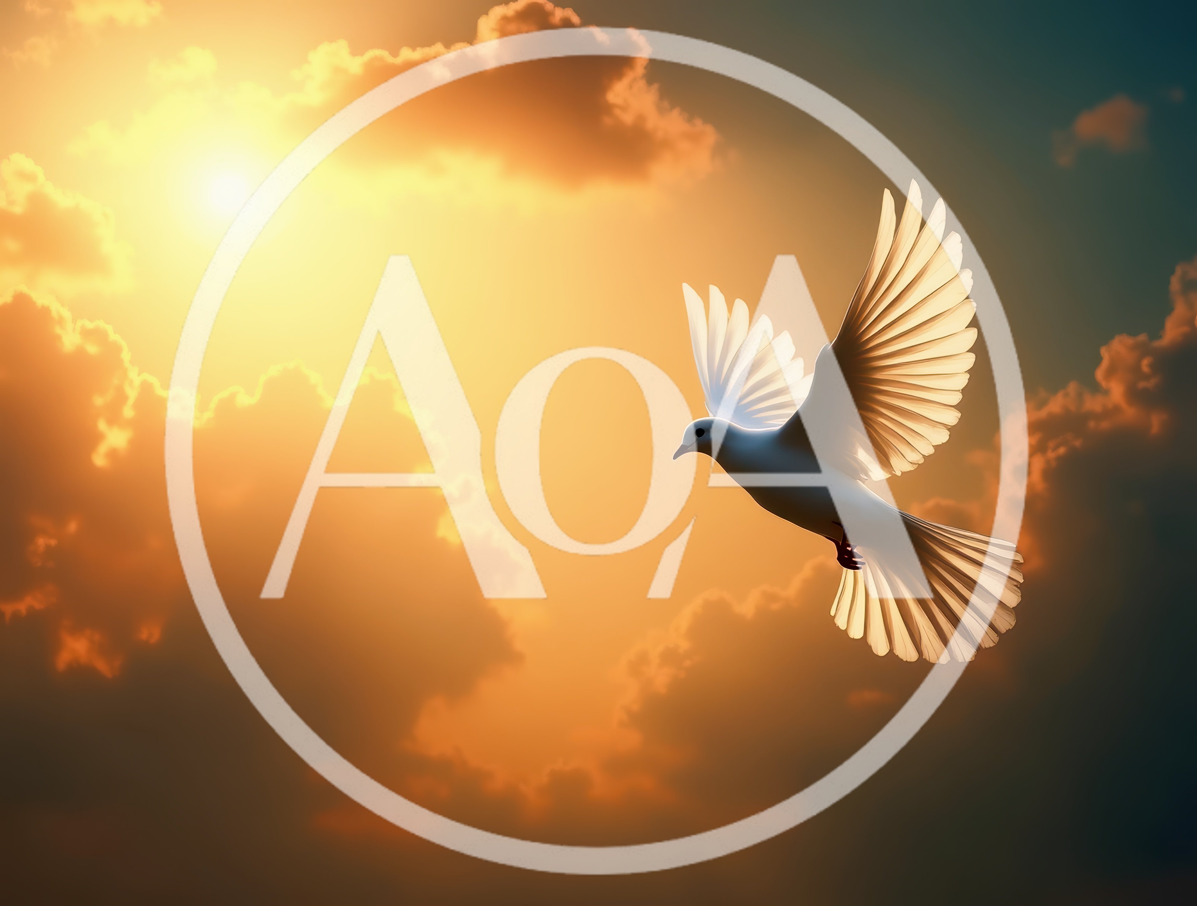 White Dove Flying Against A Golden Sunset Sky