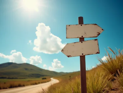 Blank Wooden Directional Signpost On A Country Road