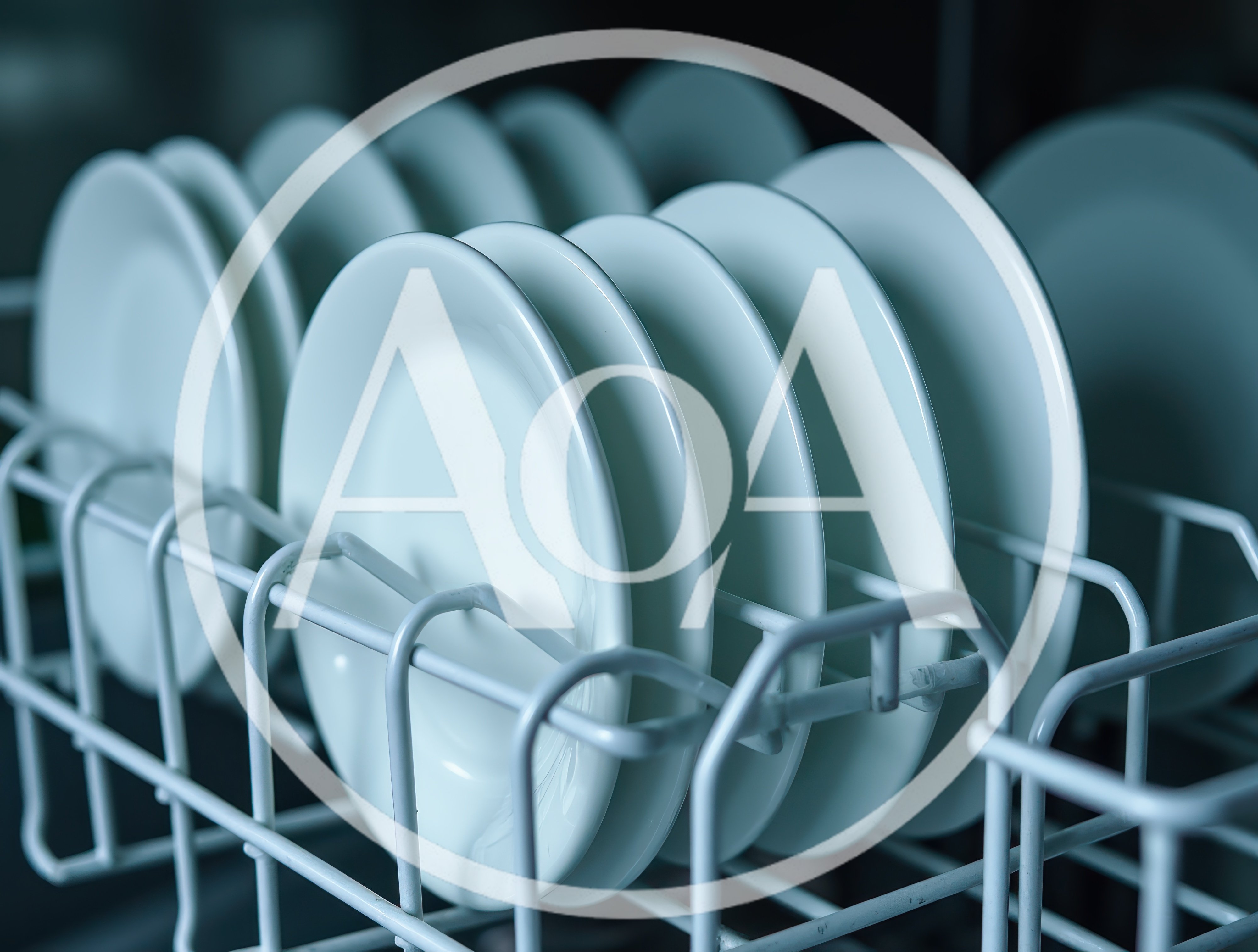 Clean White Plates Arranged In Dishwasher Rack