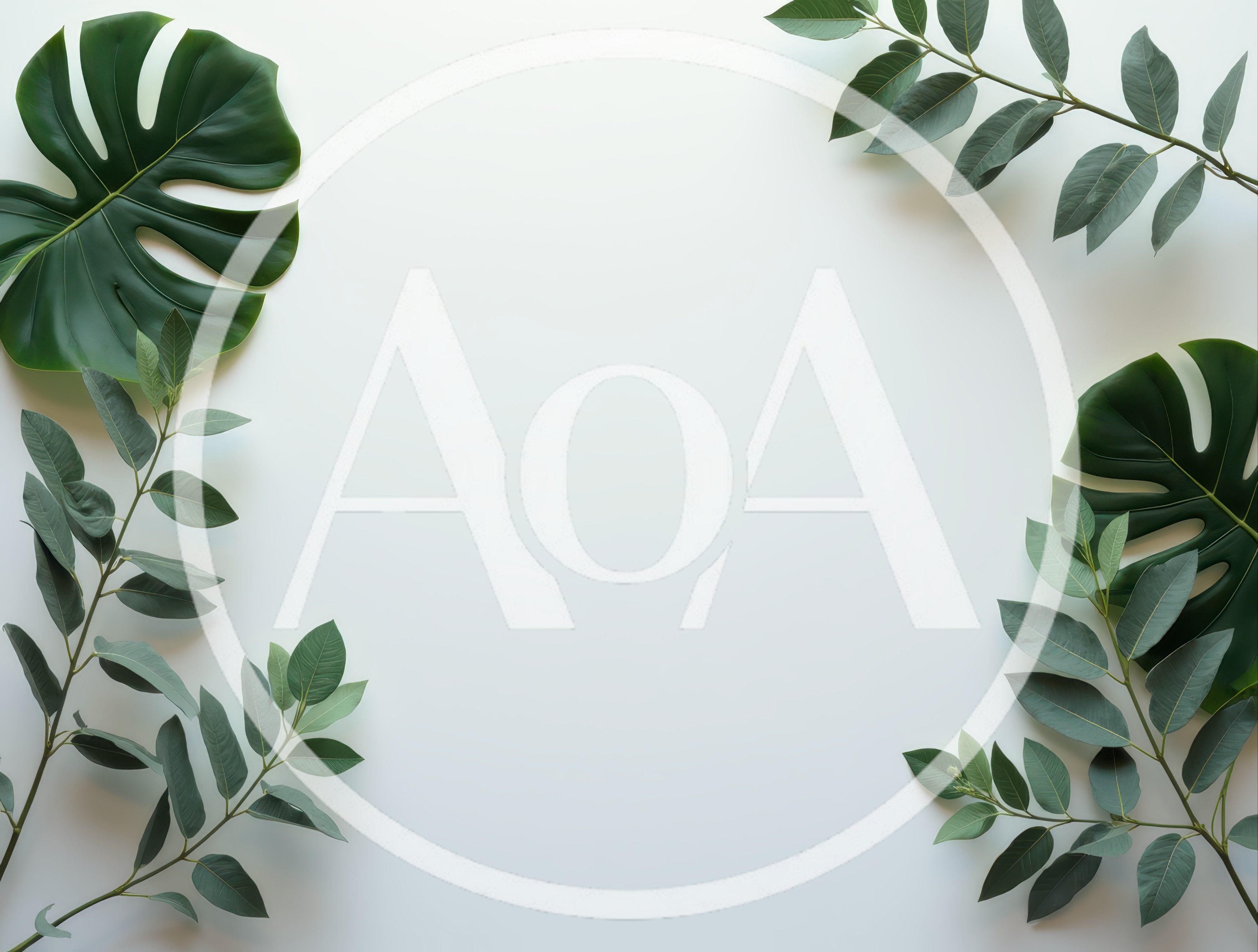 Monstera Leaves and Eucalyptus Branches on White Background