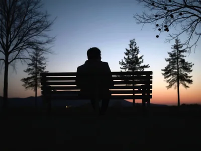 Silhouette Of A Person Sitting On A Park Bench