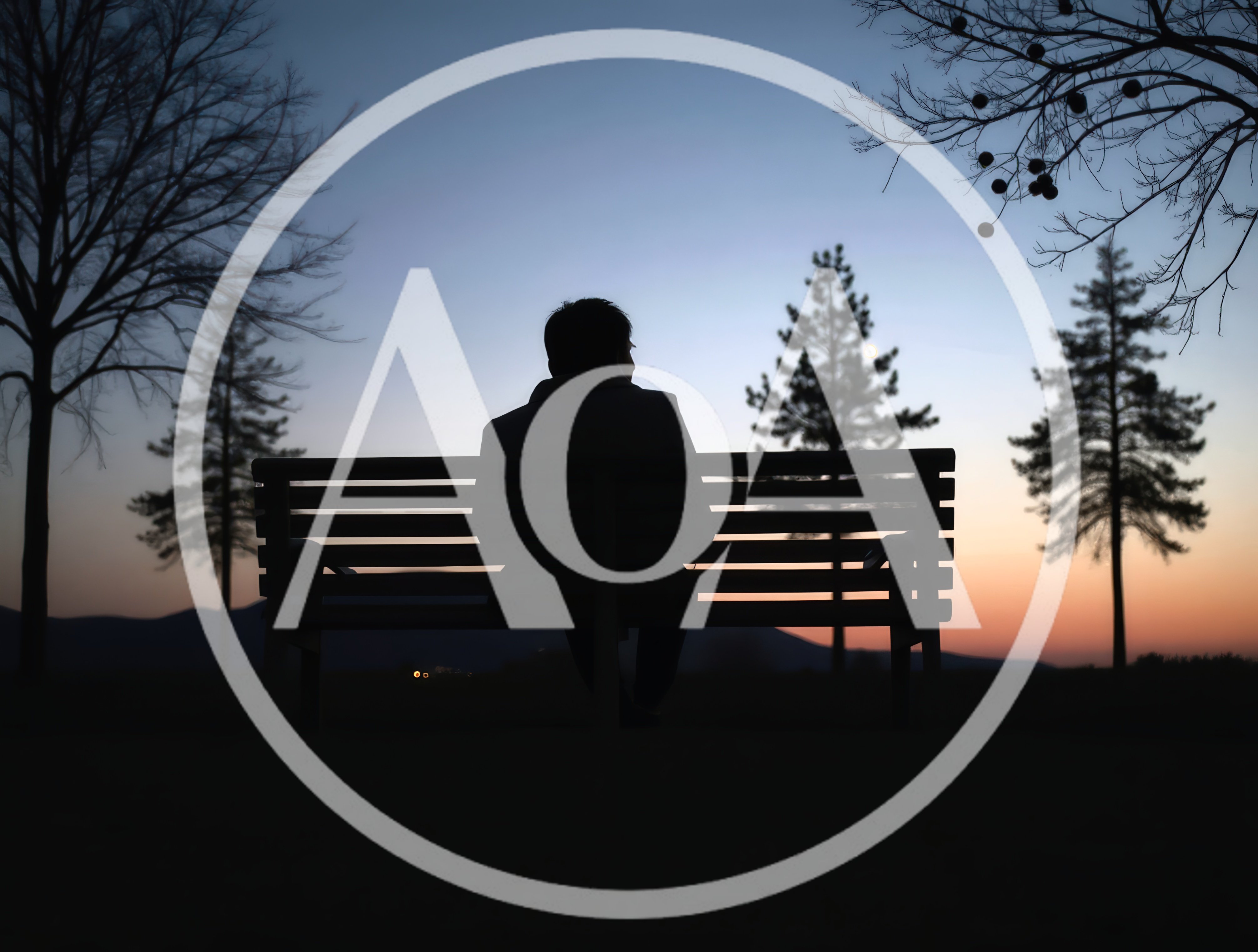 Silhouette Of A Person Sitting On A Park Bench