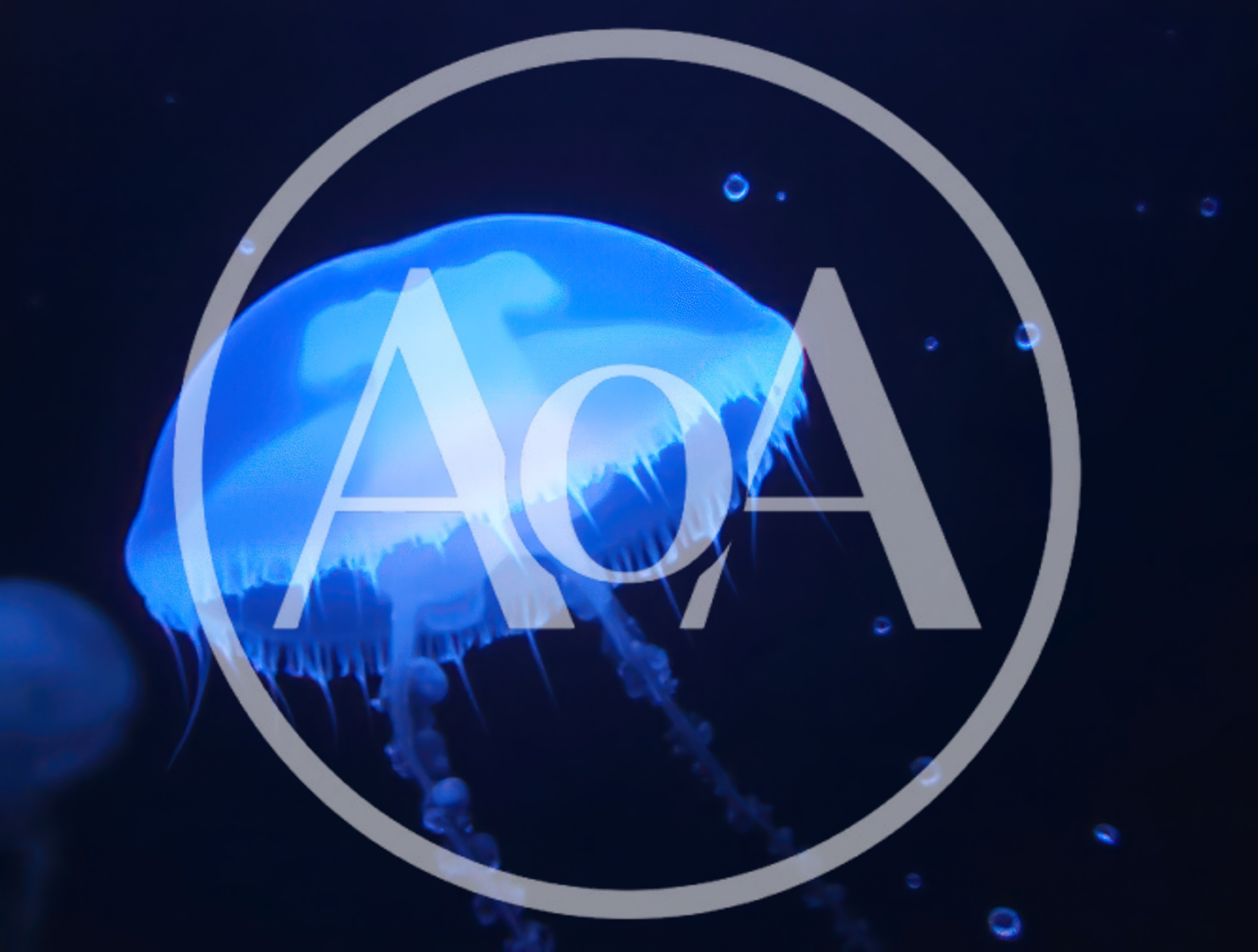 Glowing Blue Jellyfish Swimming In Dark Ocean Water