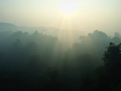 Sunlight Beams Piercing Through Morning Mist Over Forest