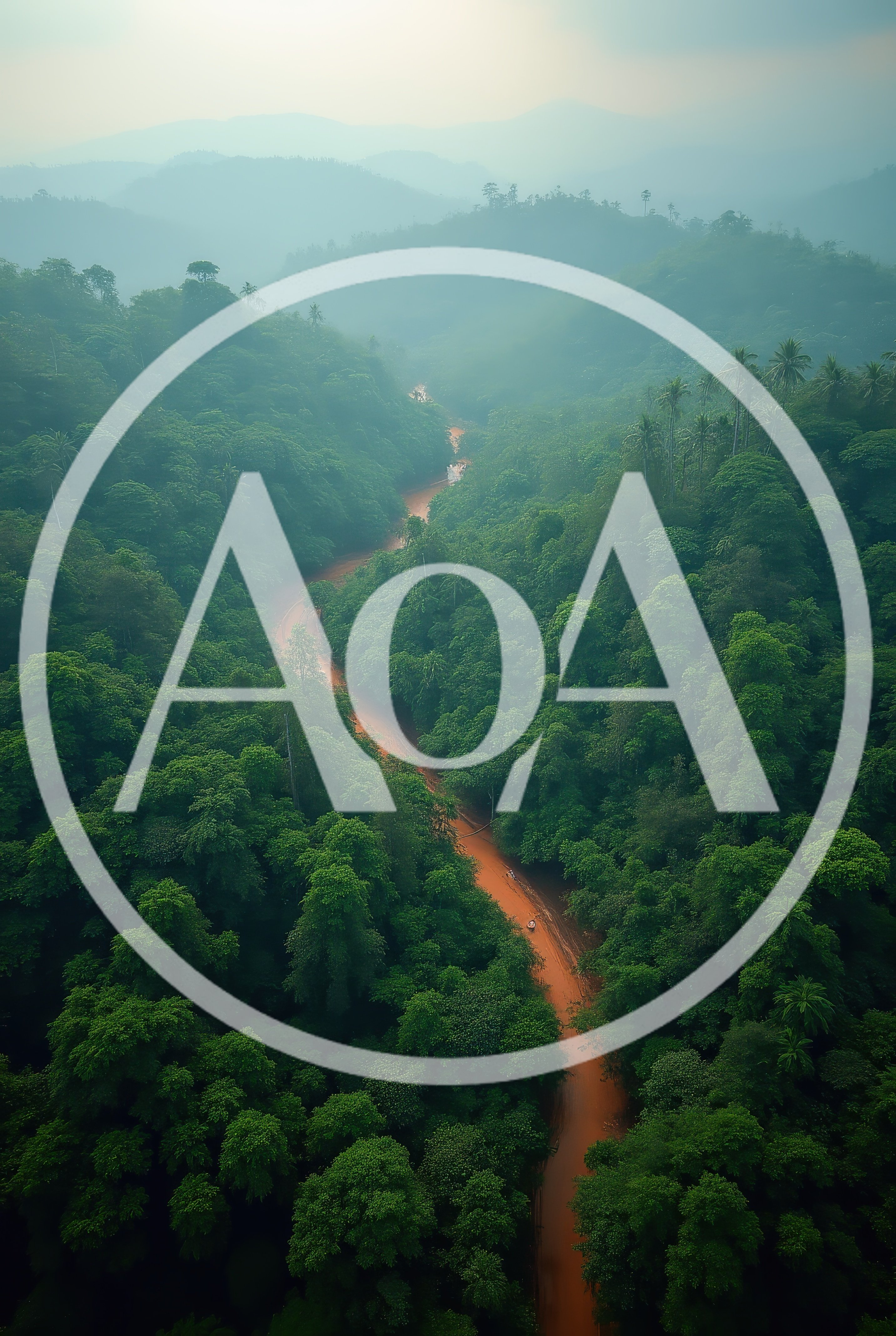 Aerial View Of A Muddy River Through Tropical Rainforest