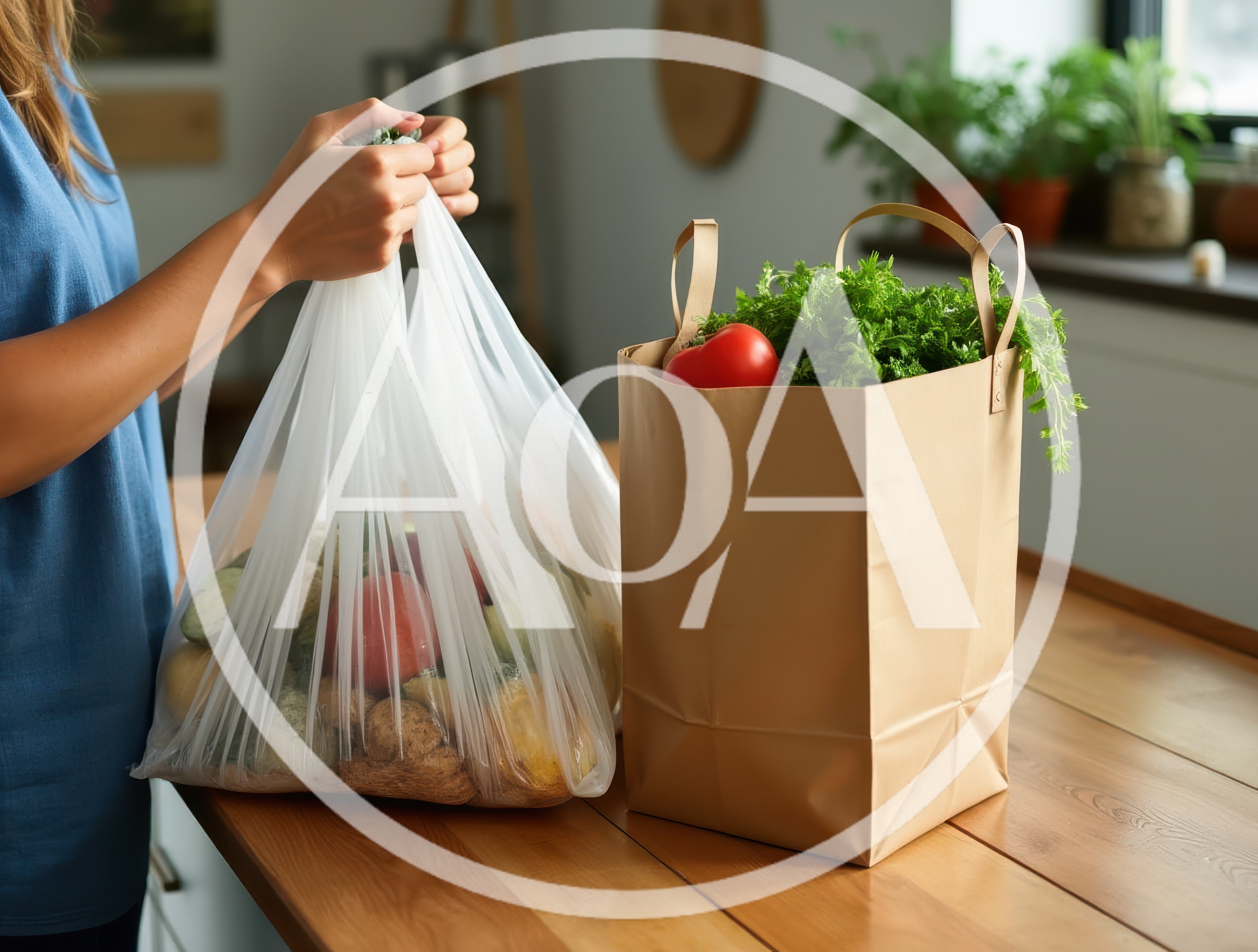 Person Holding Plastic Bag Next To Paper Grocery Bag
