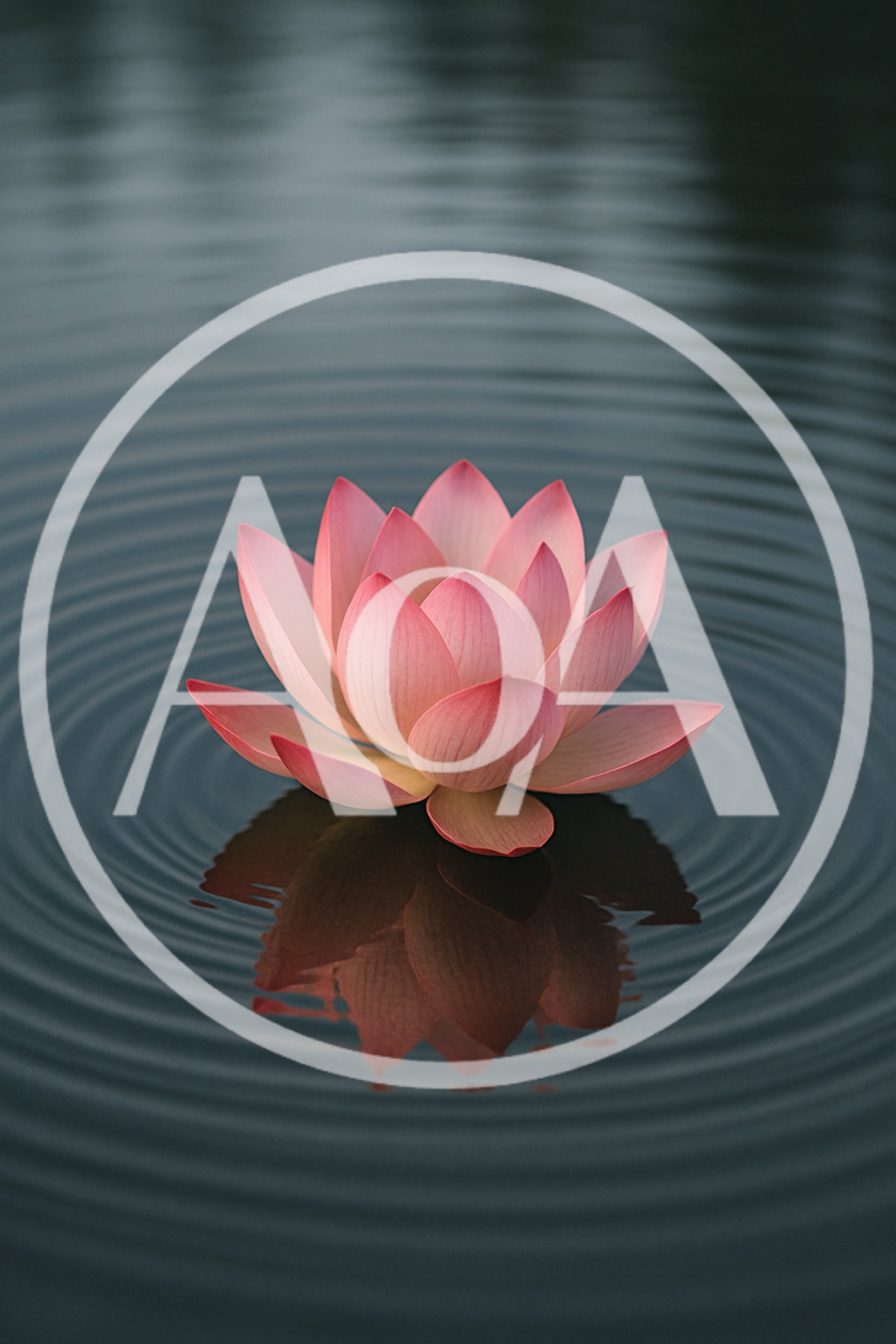 Pink Lotus Flower Floating On Calm Rippling Water