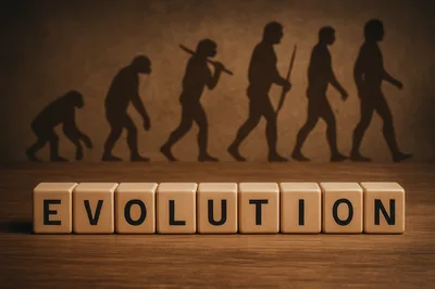 Wooden Blocks Spelling Evolution With Human Development Silhouettes