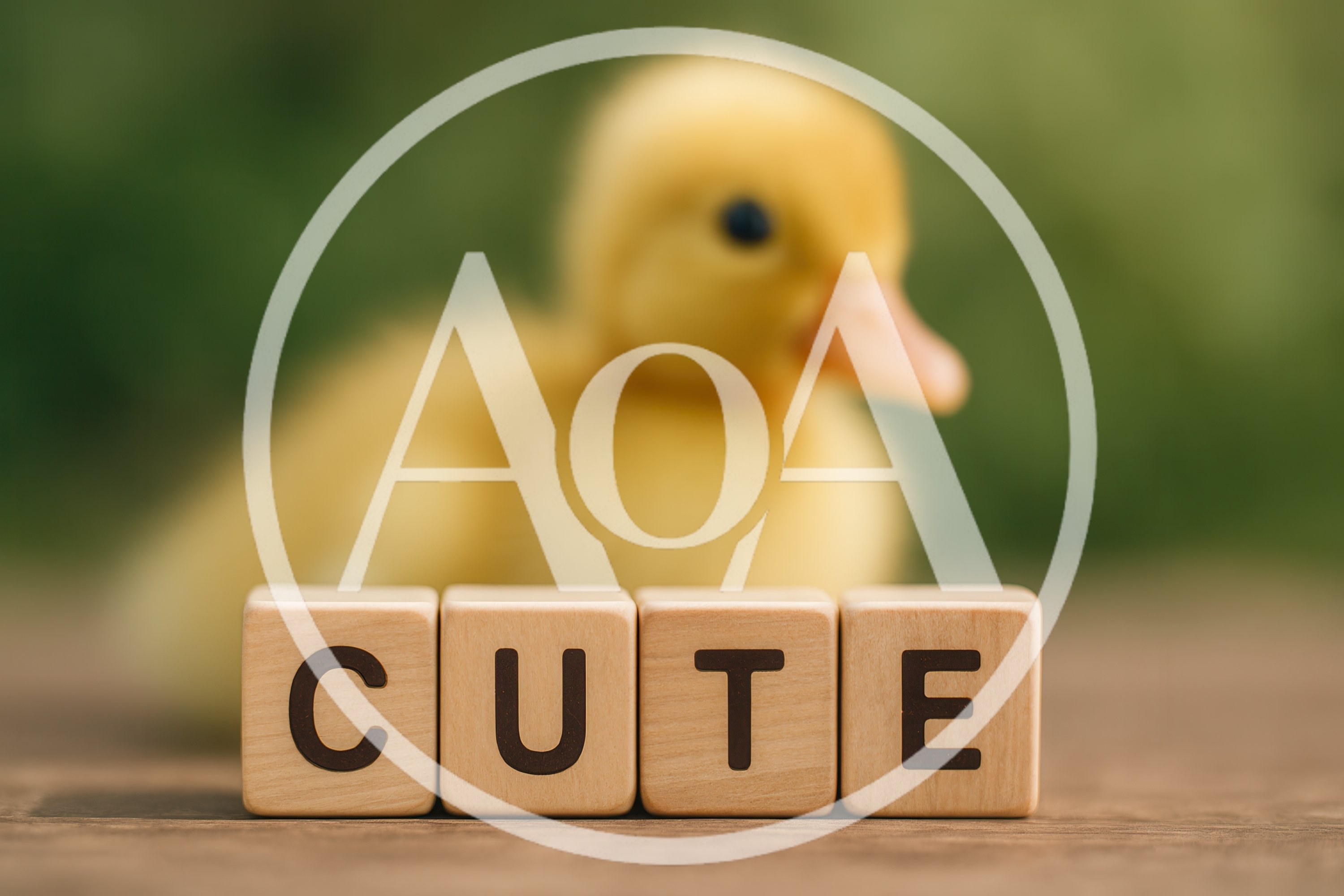 Cute Baby Duckling With Wooden Blocks Spelling Cute