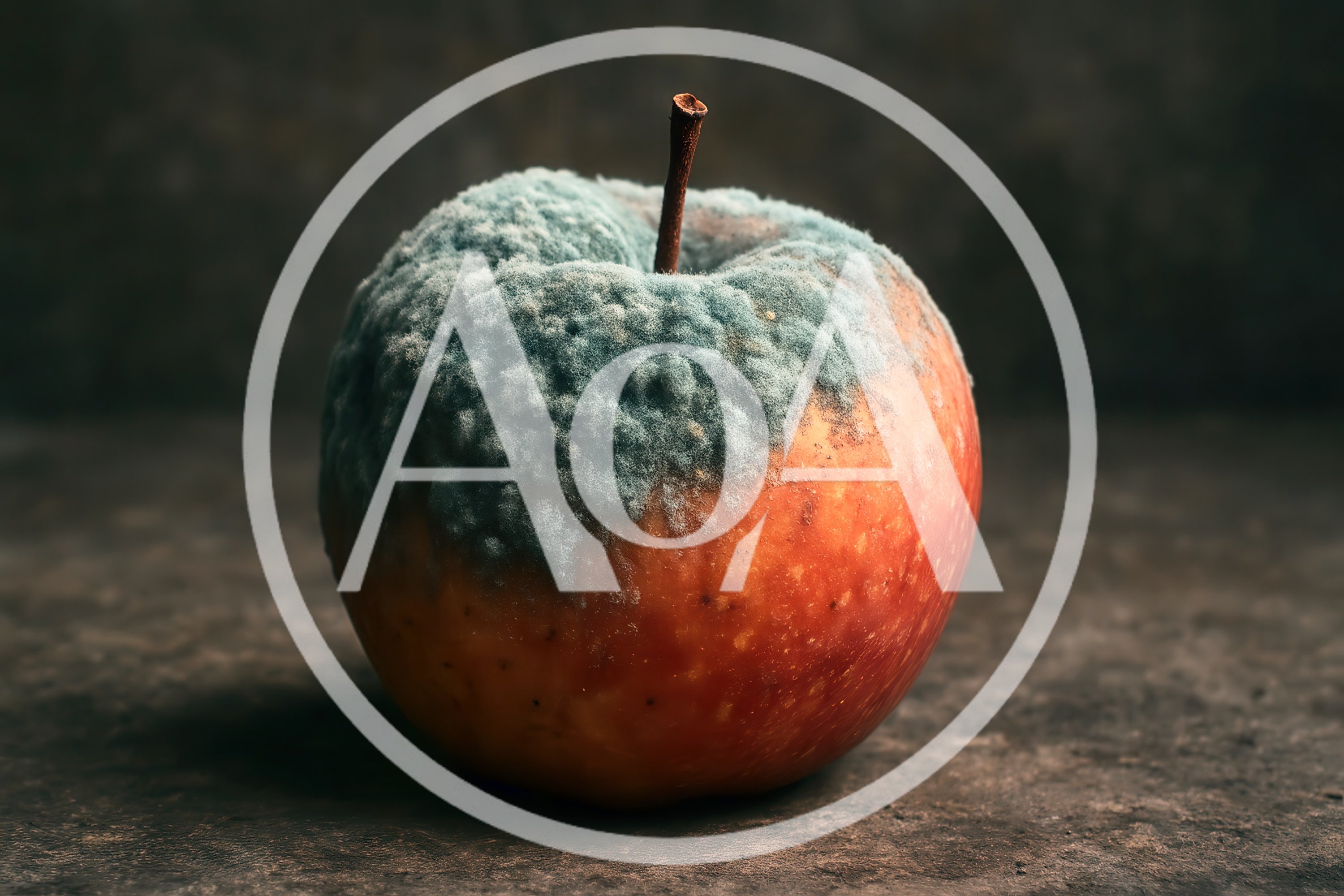 Single Moldy Red Apple On Dark Textured Surface