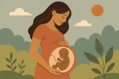 Pregnant Woman With Visible Fetus Illustration