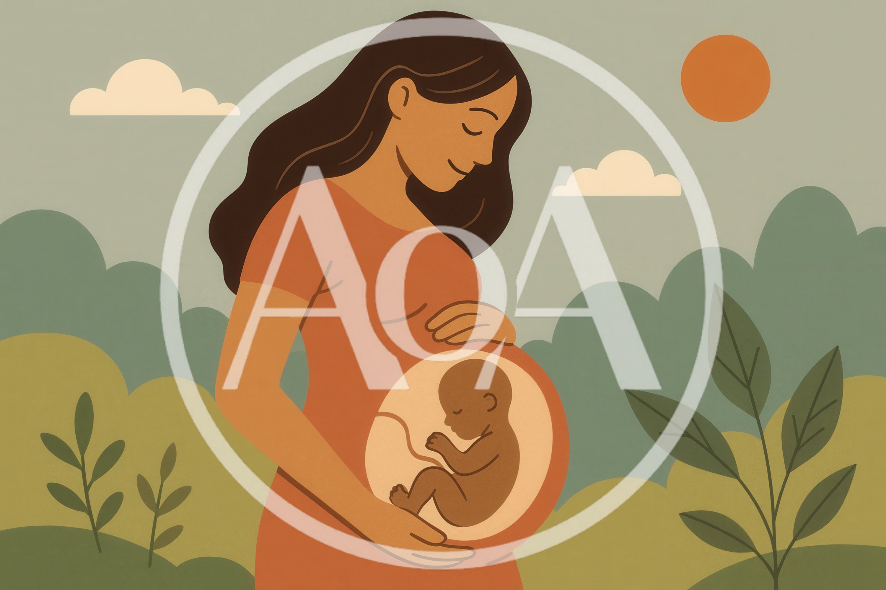 Pregnant Woman With Visible Fetus Illustration