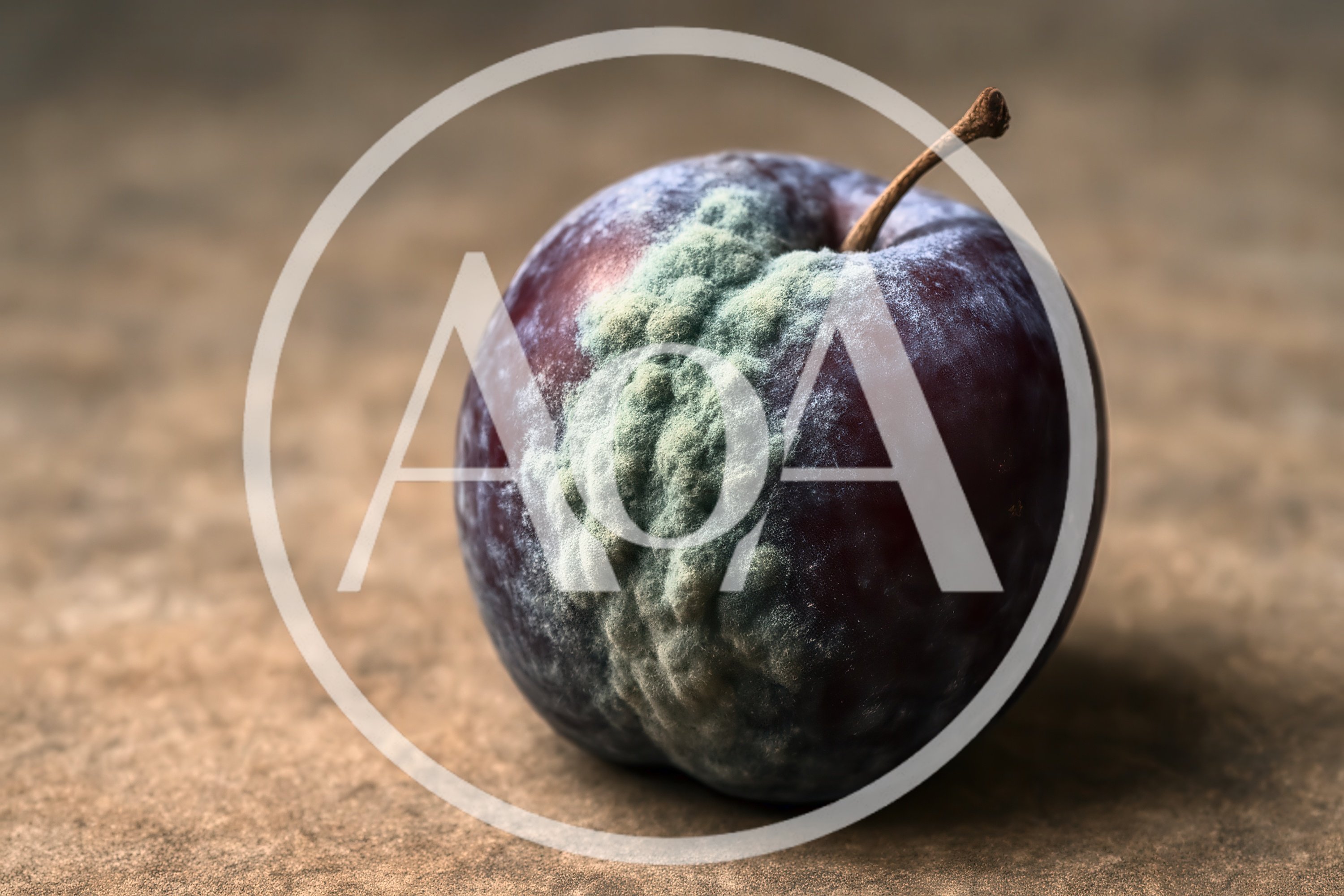 Single Moldy Plum On A Textured Surface