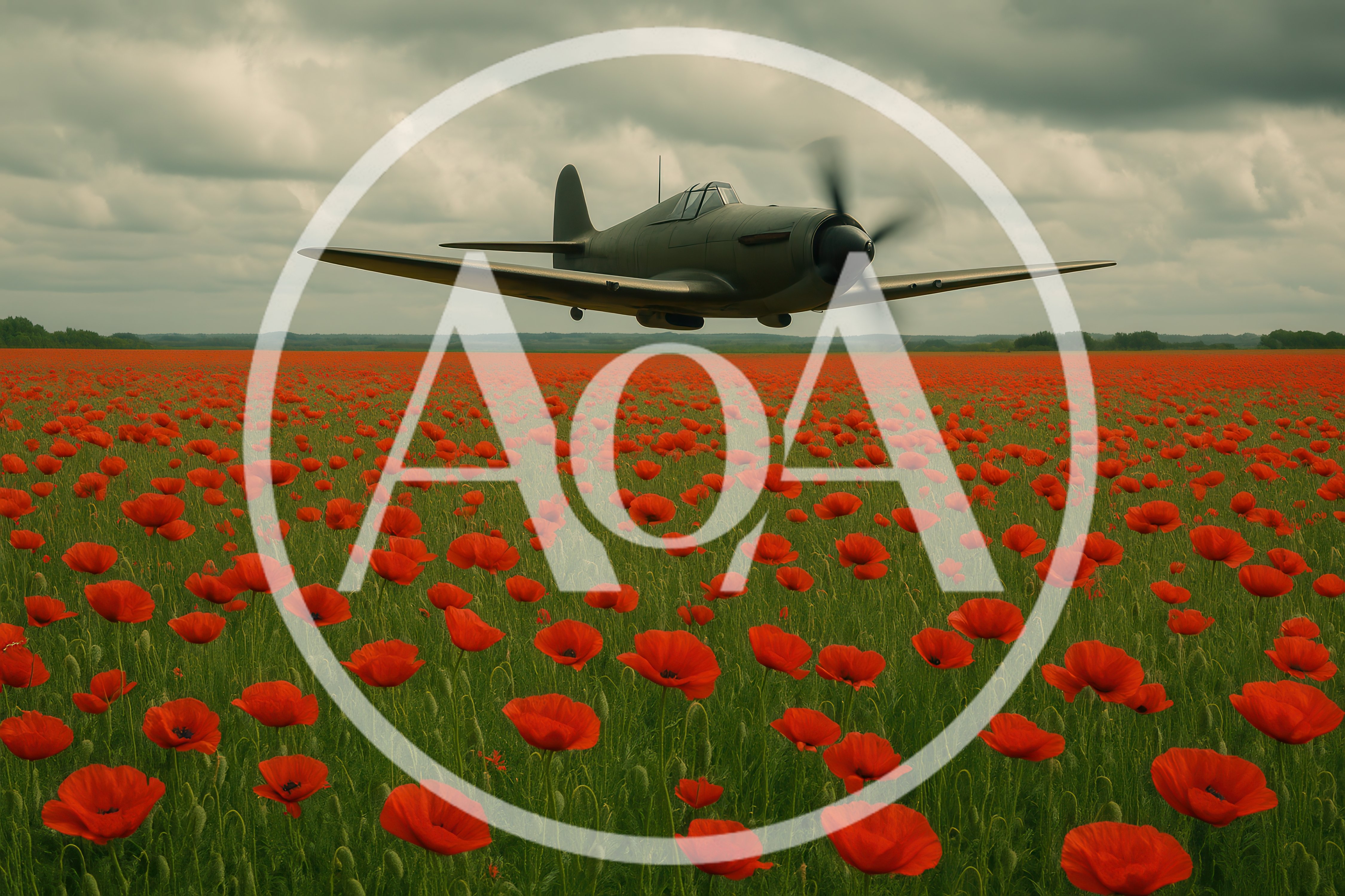 Vintage Fighter Plane Flying Over A Poppy Field