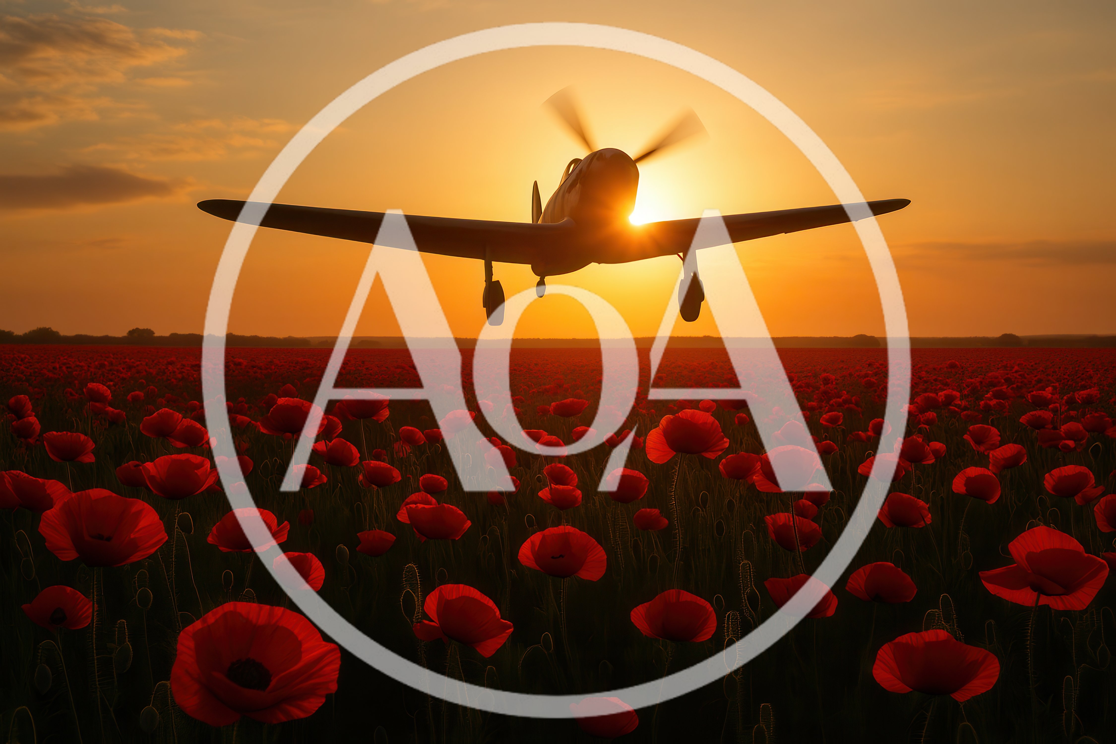 Vintage Propeller Airplane Flying Over A Poppy Field
