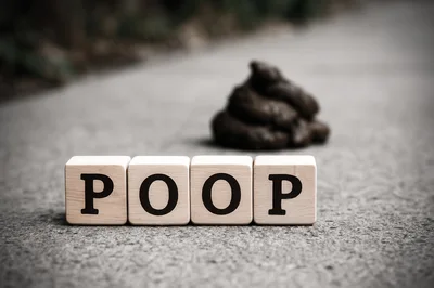 Wooden Blocks Spelling Poop With Feces In Background