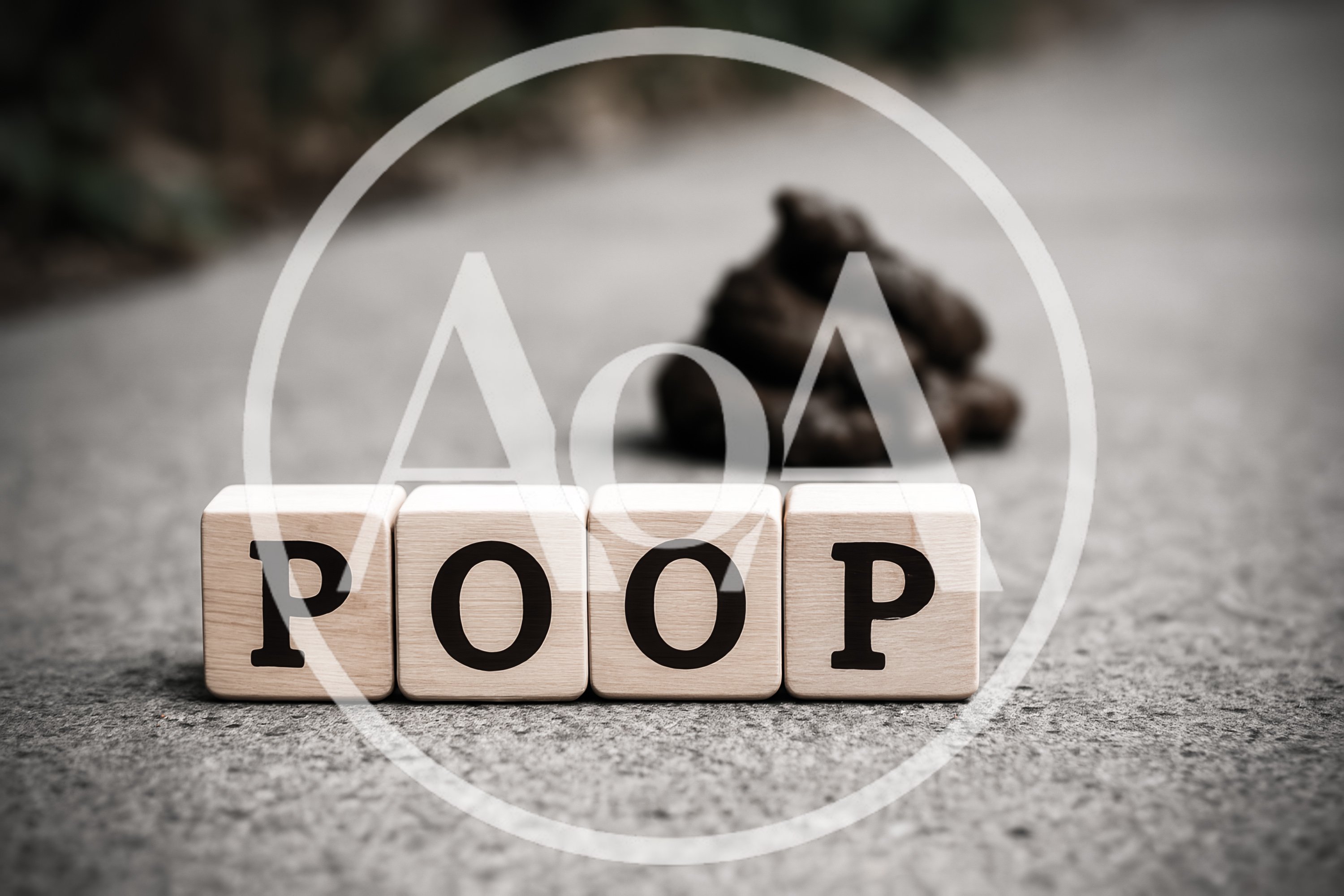 Wooden Blocks Spelling Poop With Feces In Background