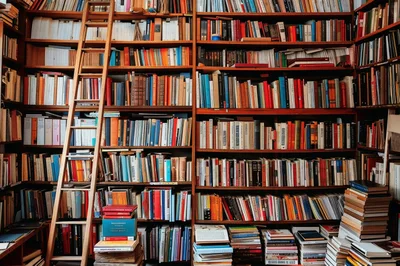 Library Bookshelves With Wooden Rolling Ladder