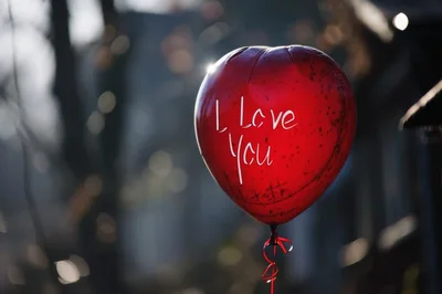 Red Heart Shaped Balloon With I Love You Text