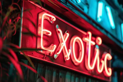 Glowing Red Neon Exotic Signage at Night