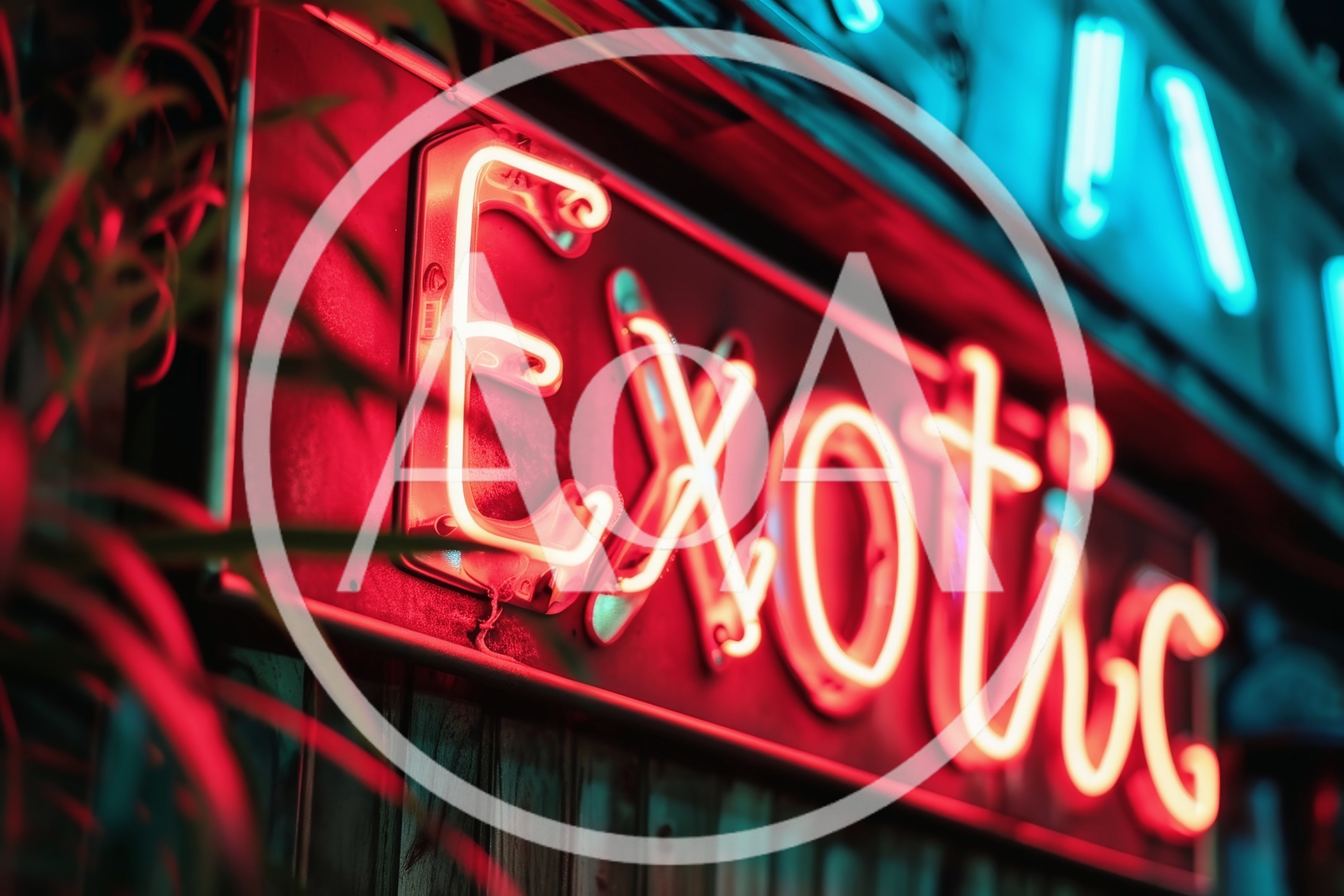 Glowing Red Neon Exotic Signage at Night