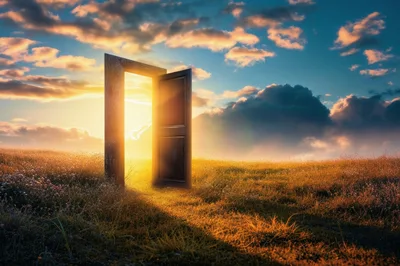 Open Door Standing In A Golden Meadow At Sunset