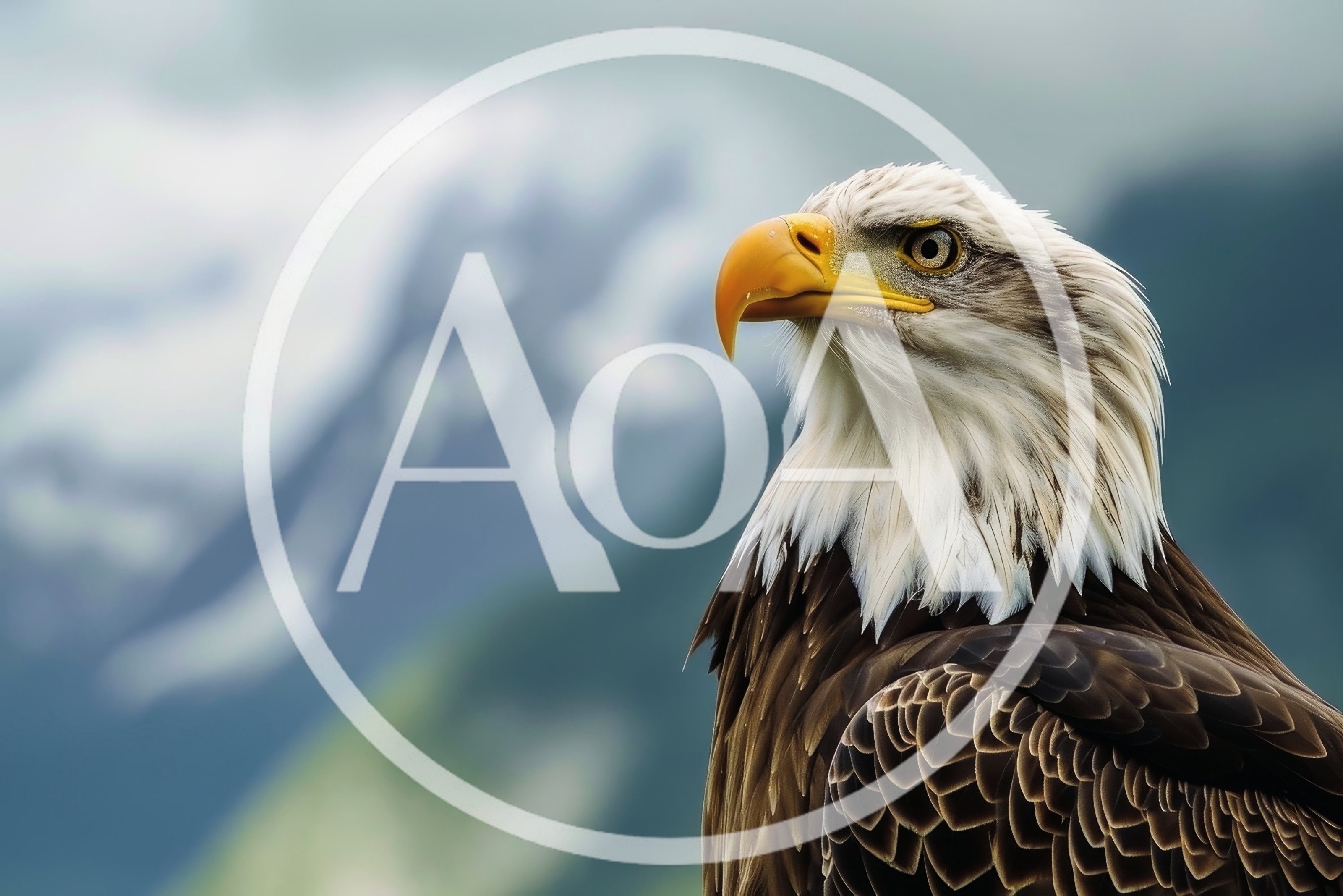 Majestic Bald Eagle Portrait Against Blurred Mountain Background