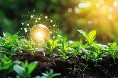Light Bulb With Digital Network In Soil