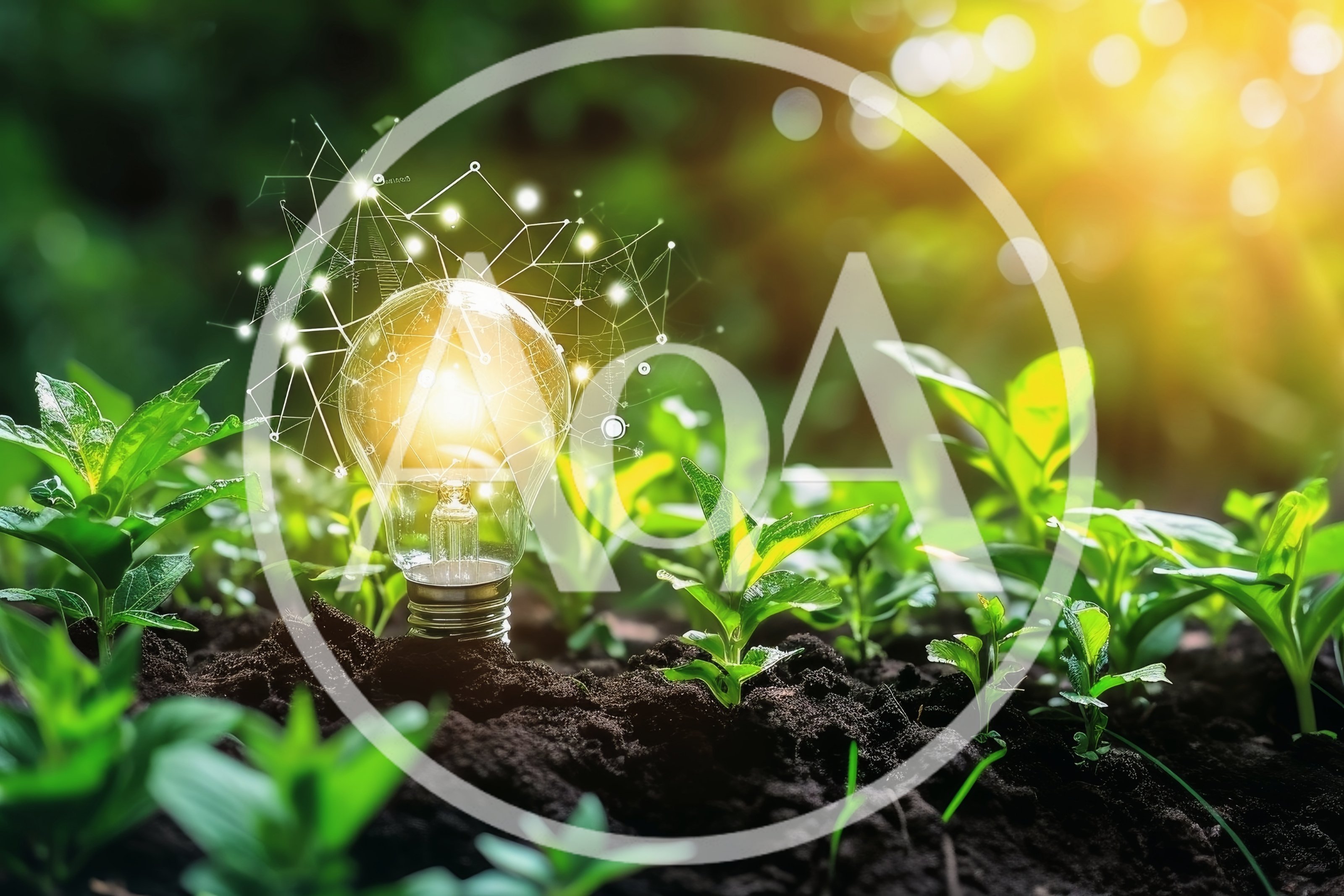 Light Bulb With Digital Network In Soil