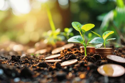 Small Green Seedlings Growing From Stacks Of Coins