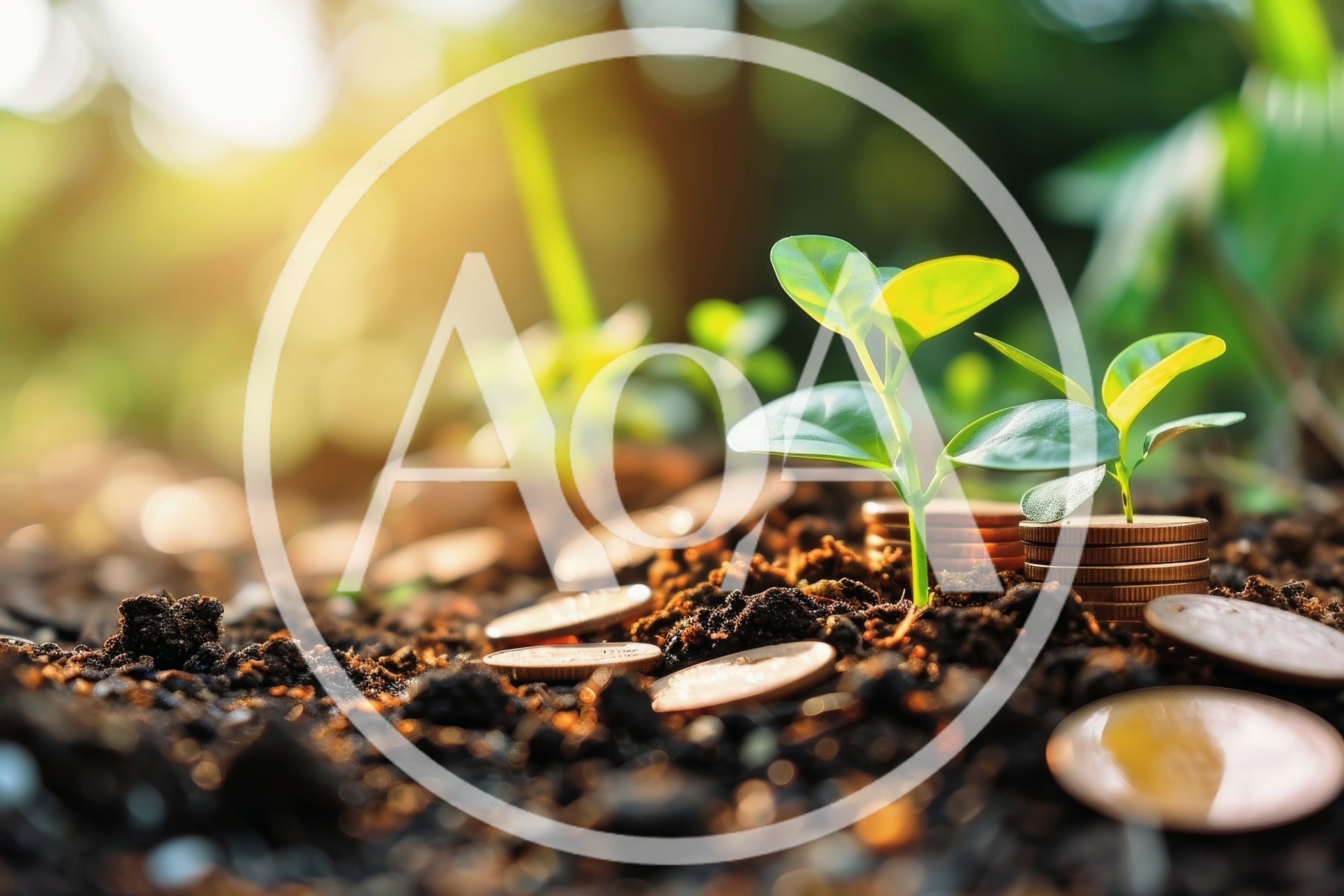Small Green Seedlings Growing From Stacks Of Coins