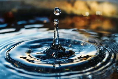 Water Drop Impact Creating Concentric Ripples And Crown
