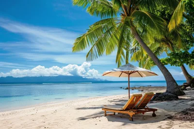 Two Empty Wooden Beach Chairs Under A Palm Tree