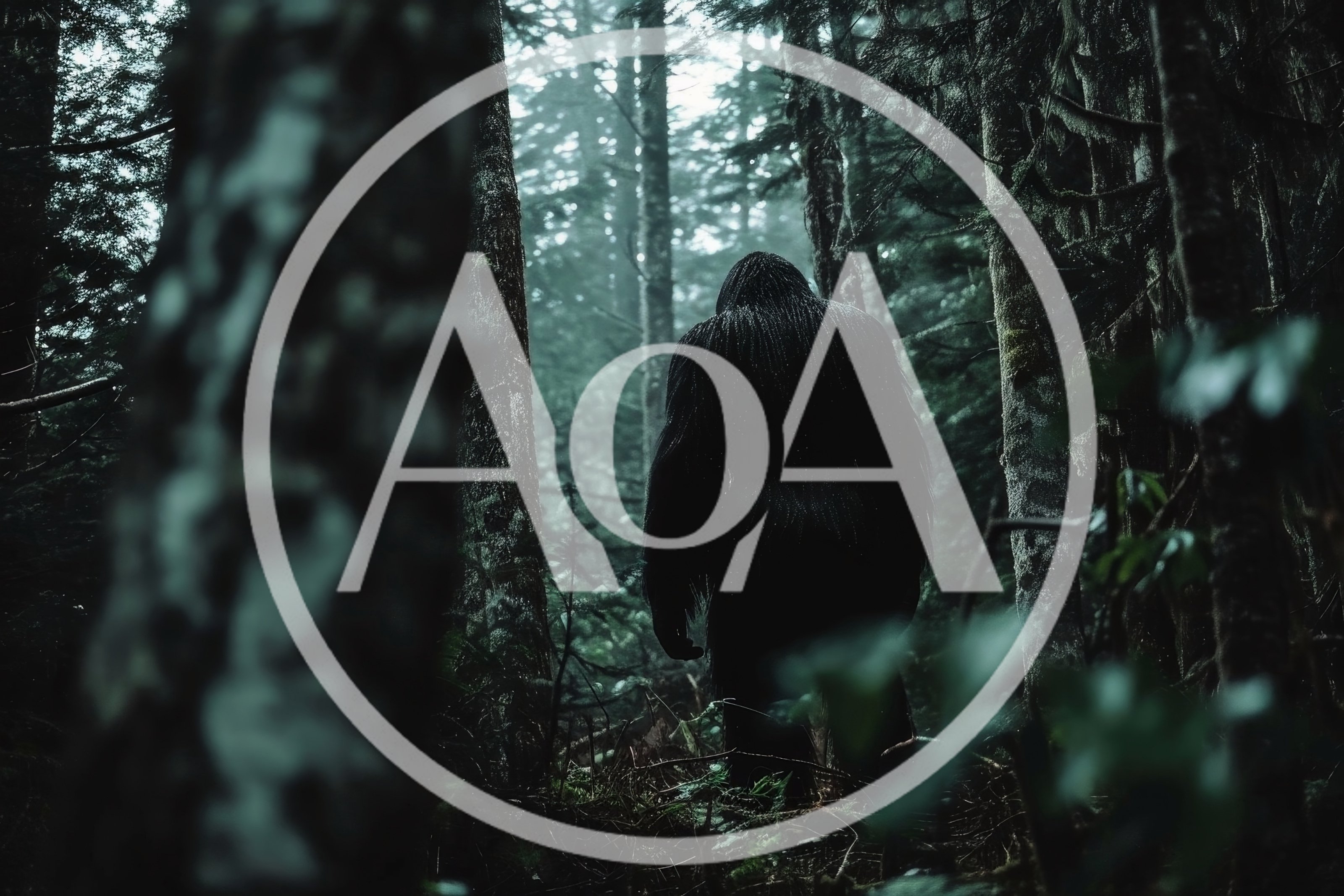 Bigfoot Standing In A Dark Misty Forest