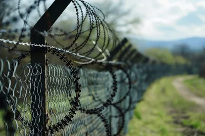 Razor Wire Fence Along A Rural Path