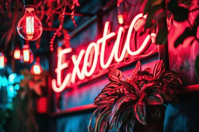 Neon Exotic Signage In A Tropical Bar Setting