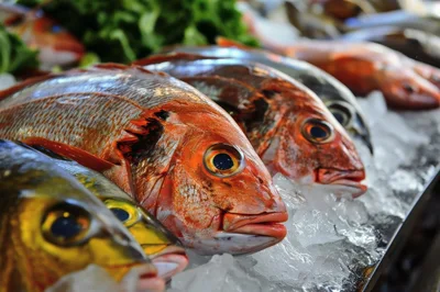 Fresh Red Snapper Fish Displayed On Ice