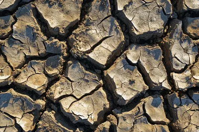 Cracked Dry Earth Texture Background