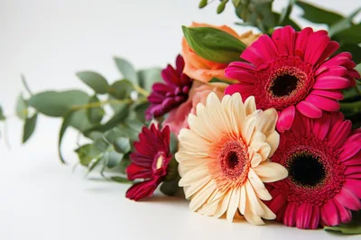 Vibrant Gerbera Daisy Bouquet With Eucalyptus Leaves
